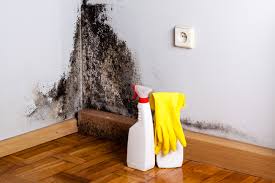 Best Comprehensive Air Testing for Mold Contaminants  in New Albany, OH